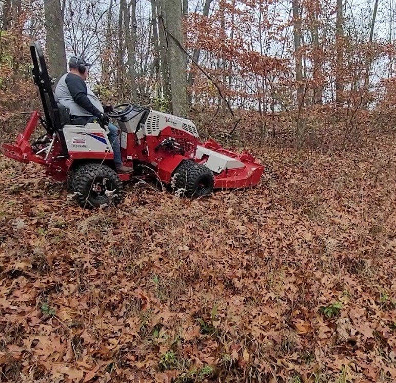 Our Ventrac mowing brush and saplings in a wooded area during Autumn.